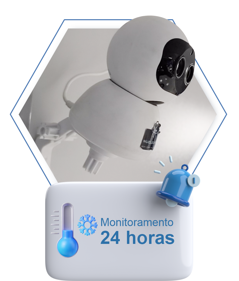 Câmera de Monitoramento